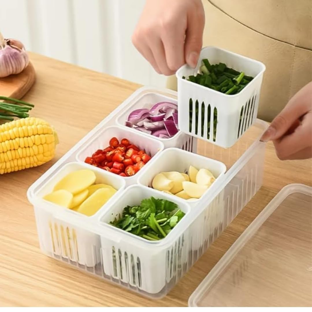 Qeyra Plastic Fridge Storage Boxes Freezer Storage Containers,Container For Kitchen Storage Set,Storage In Kitchen,Vegetable Storage,Draining Crisper Refrigerator Food Box White 6 slot (Pack of 1)